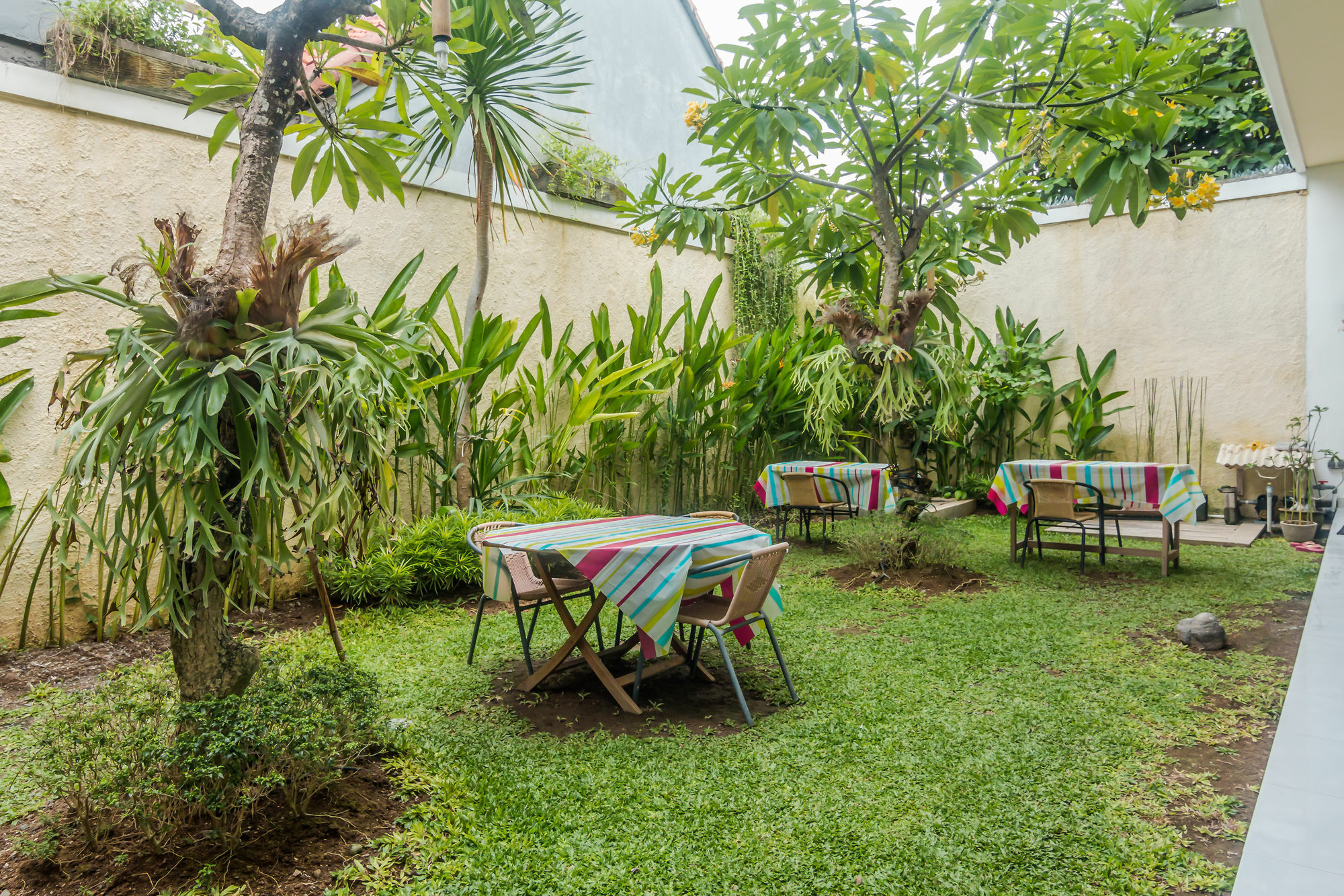 Zen Rooms Denpasar Mertasari Bagian luar foto